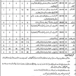 General-Sports-and-Youth-Affairs-Punjab-Jobs-2022-Lahore